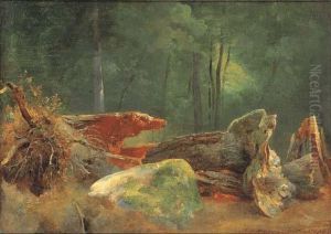 A Wooded Landscape With A Blasted Tree By A Rock by Jean-Baptiste-Adolphe Gibert