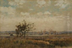 Rural Landscape
