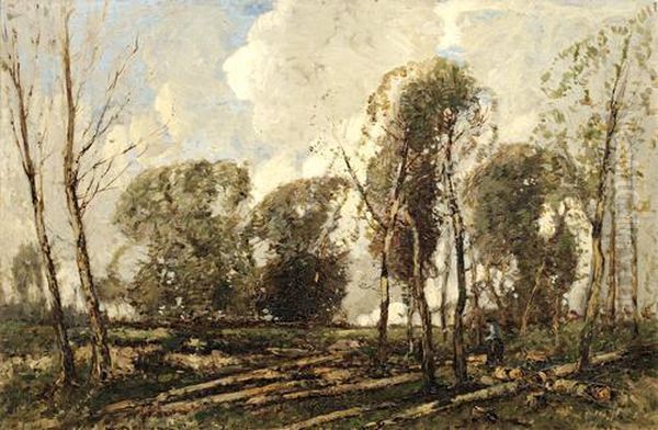 The Clearing - view 1