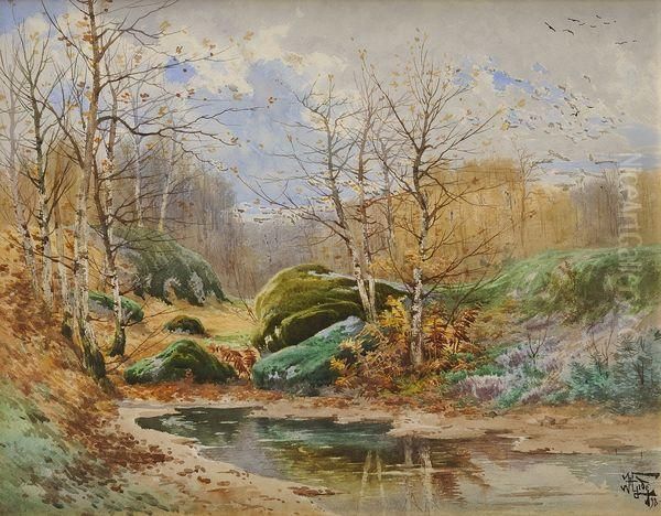 Mare Et Rochers En Foret - view 1