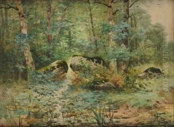 Foret - view 1