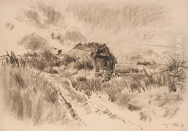 Dunenlandschaft Auf Der Insel Wolin - view 1