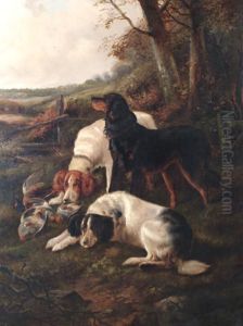 The Day's Bag by John Gifford