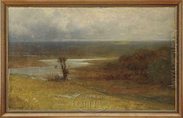 Panoramic Landscape - view 1