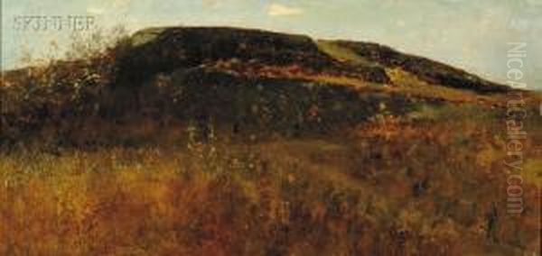 Landscape - view 1
