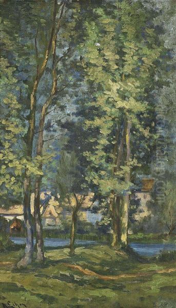 In The Woods - view 1