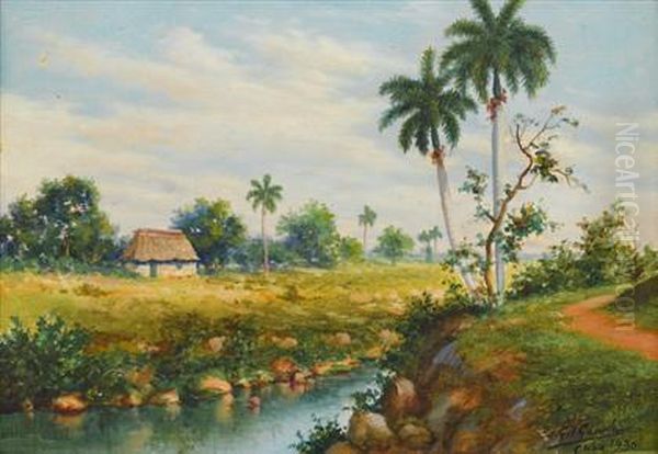 Cuban Landscape - view 1
