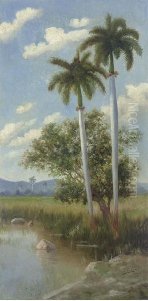 Untitled - view 1