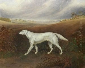 English Setter In An Extensive Parkland Setting by W.J. Gilbert