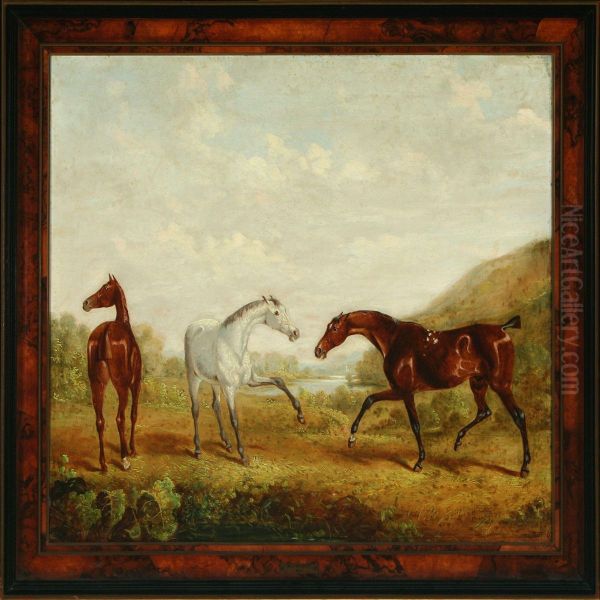Landscape With Young Horses - view 1