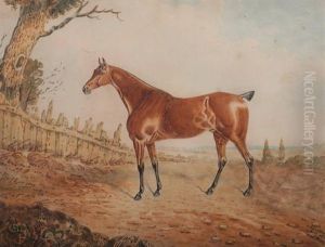 Chestnut In A Landscape