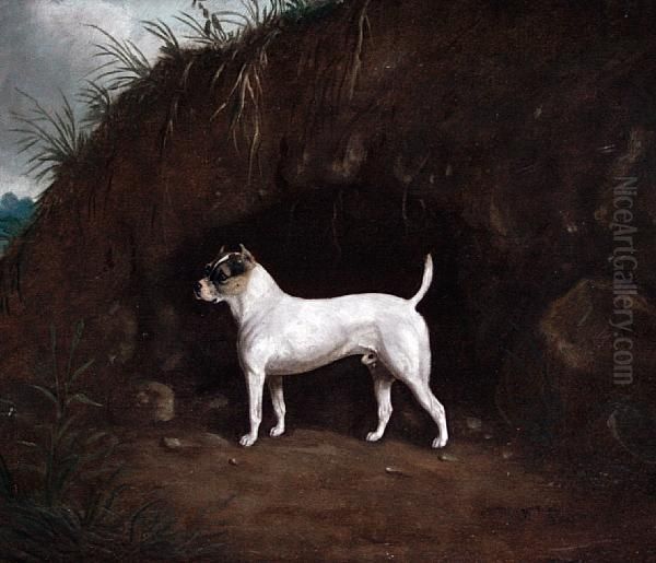 A Dog Standing Before A Muddy Bank - view 1