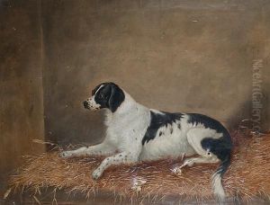 A Spaniel On A Straw Bed A Spaniel On A Straw Bed
