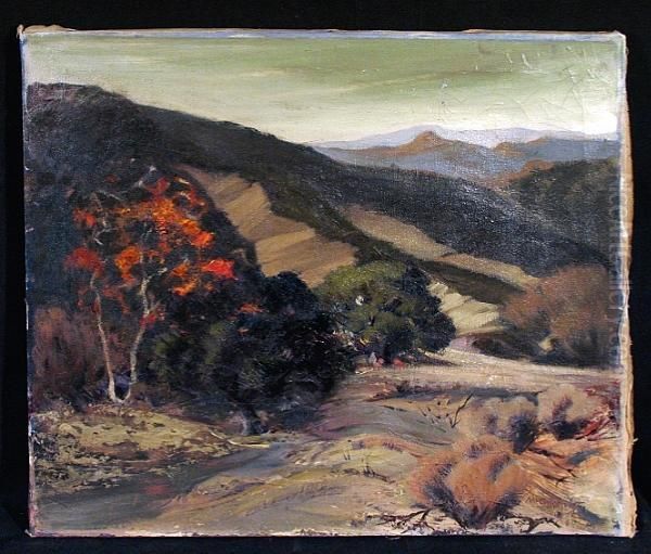 Santa Barbara Hills - view 1
