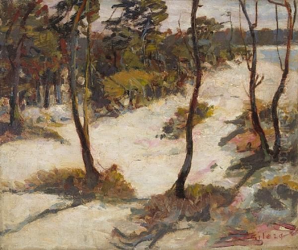 Sand Dunes - view 1