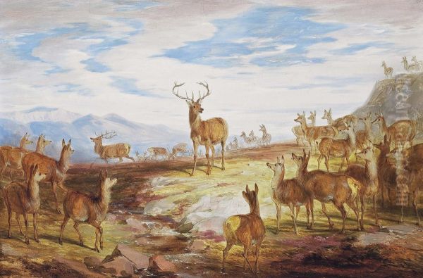 The Monarch - view 1