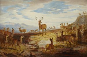 Deer On A Hillside by James William Giles