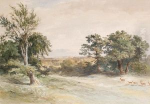Deer In Windsor Park by James William Giles