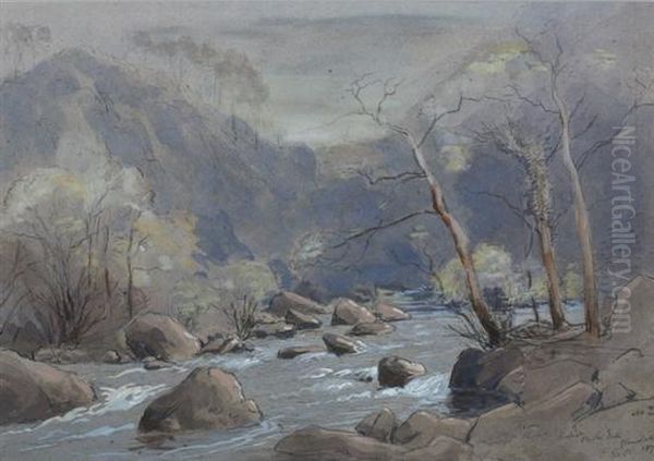 Rapids On The Esk, Glandale - view 1