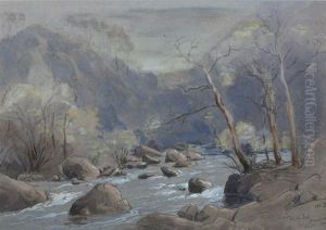 Rapids On The Esk, Glandale by Edmund Gill