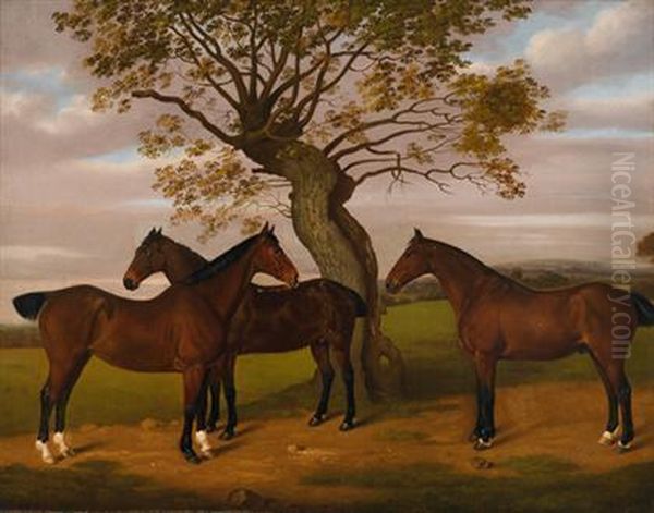 Three Bay Hunters In Landscape - view 1
