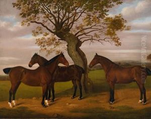 Three Bay Hunters In Landscape by Edward Gill