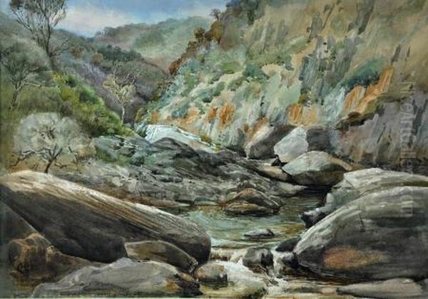 a Gorge On The Onkaparinga Near Hackham - view 1