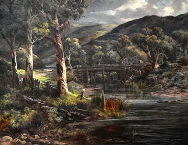After Rain On The Black Spur, Dandenong Ranges, Vic - view 1