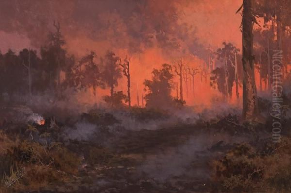 Fire In The Dandenong Ranges - view 1