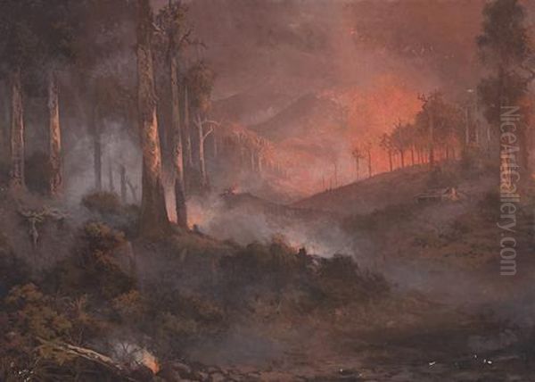 Bushfire, Gippsland, Victoria - view 1
