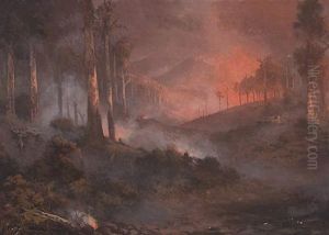 Bushfire, Gippsland, Victoria by Naylor Gill