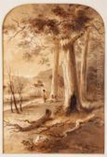 Gumtrees - view 1