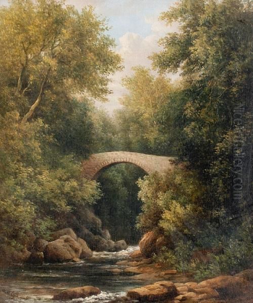 Footbridge Over A River Landscape - view 1
