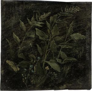Studie Mit Wiesengewachsen Vor Dunklem Grund by Christian Friedrich Gille