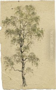 Studie Zu Einer Birke by Christian Friedrich Gille