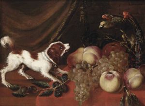 A Dog Barking At A Parrot On A Table With Peaches, Prumes And White Grapes
