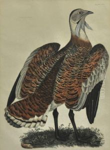 The Meet At Badminton by William Giller