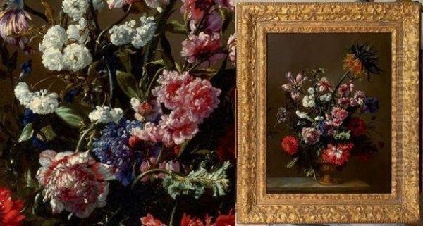 Des Anemones Doubles, Tulipes, OEillets, Pavot, Giroflee Et Couronneimperiale - view 1