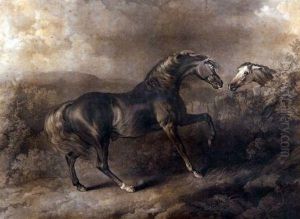 Jupiter
The Property Of Col Thornton Jupiter
The Property Of Col Thornton