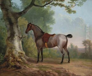 A Saddled Strawberry Roan Hunter by Sawrey Gilpin