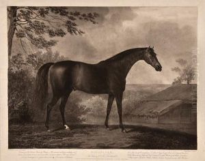 Highflyer, The Property Of Mr Tattersall Highflyer, The Property Of Mr Tattersall