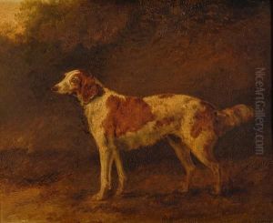 Spaniel Before A Landscape