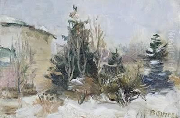 Hausgarten Im Winter - view 1