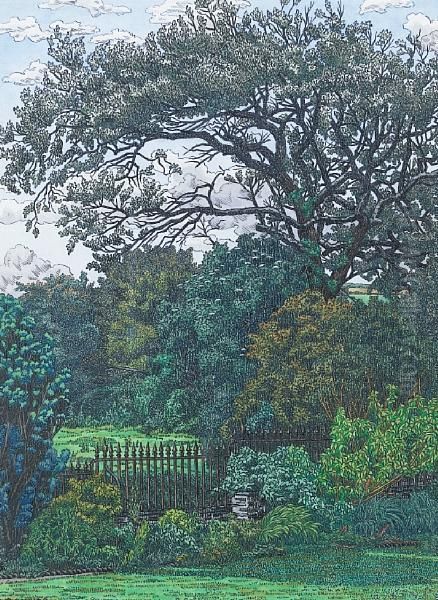 The Abele Tree - view 1