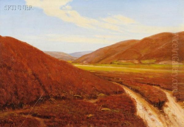 Landscape - view 1