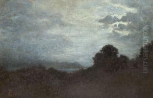 Attraversando La Maremma - Notturno