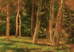 Primavera Nel Bosco by Francesco Gioli
