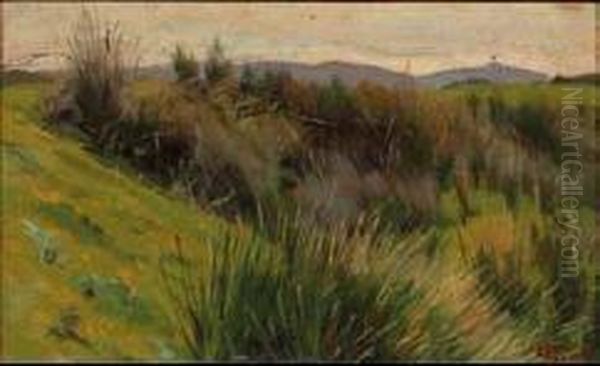Paesaggio Con Sterpaglie - view 1