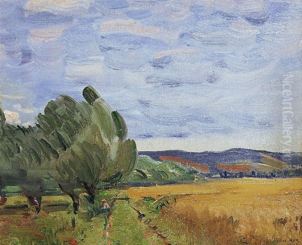 Paysage Anime - view 1