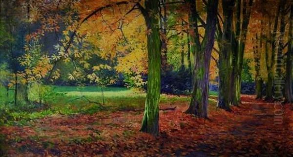 Allee Aux Grands Arbres - view 1